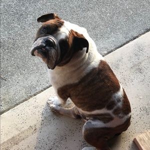 Meet your Posher, Gemma